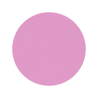ݥꥫ顼  #17
